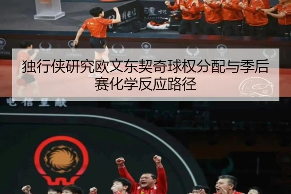 独行侠研究欧文东契奇球权分配与季后赛化学反应路径